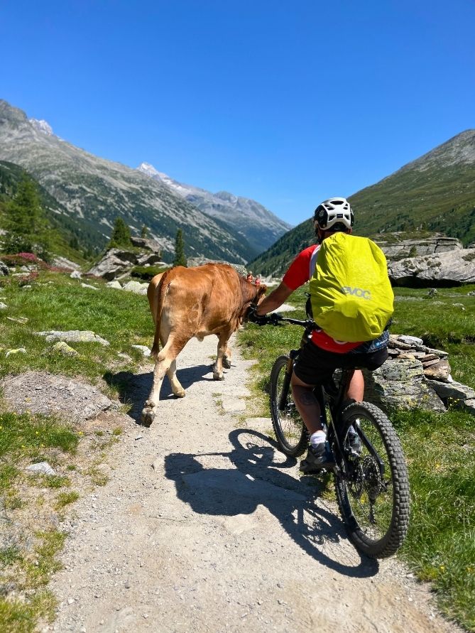 Alpenüberquerung
